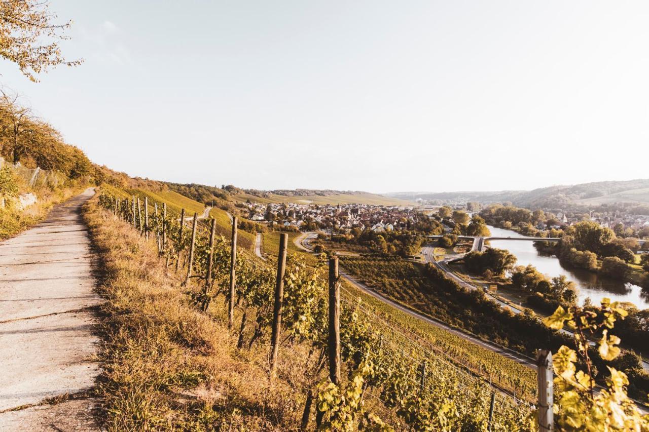 Weingut Pastoriushaus - Artur Steinmann Hotel Sommerhausen Ngoại thất bức ảnh