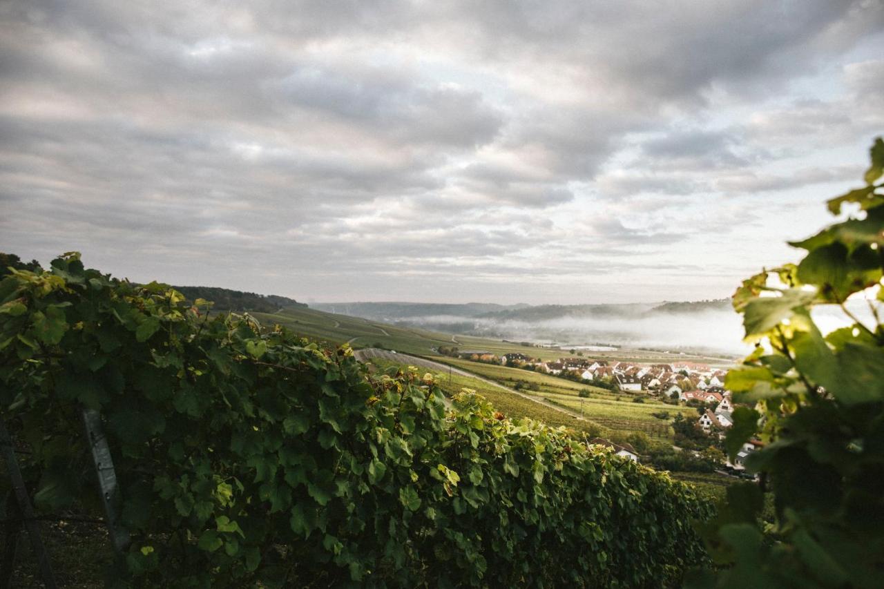 Weingut Pastoriushaus - Artur Steinmann Hotel Sommerhausen Ngoại thất bức ảnh